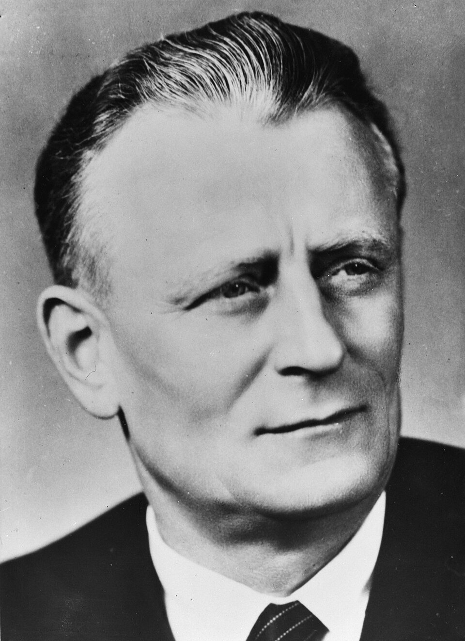 novotny.jpg, 197kB